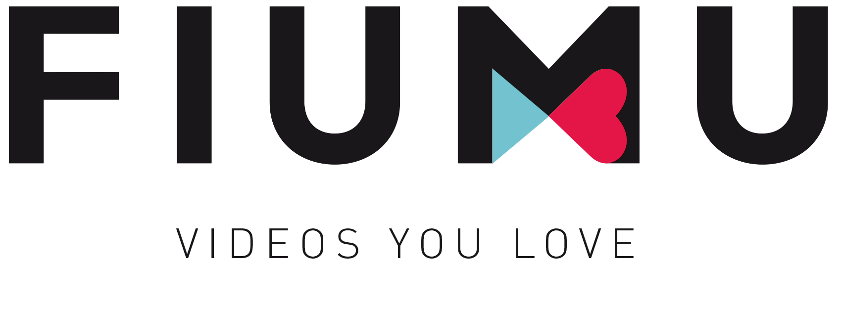 FIUMU - Unser Partner für Videomarketing